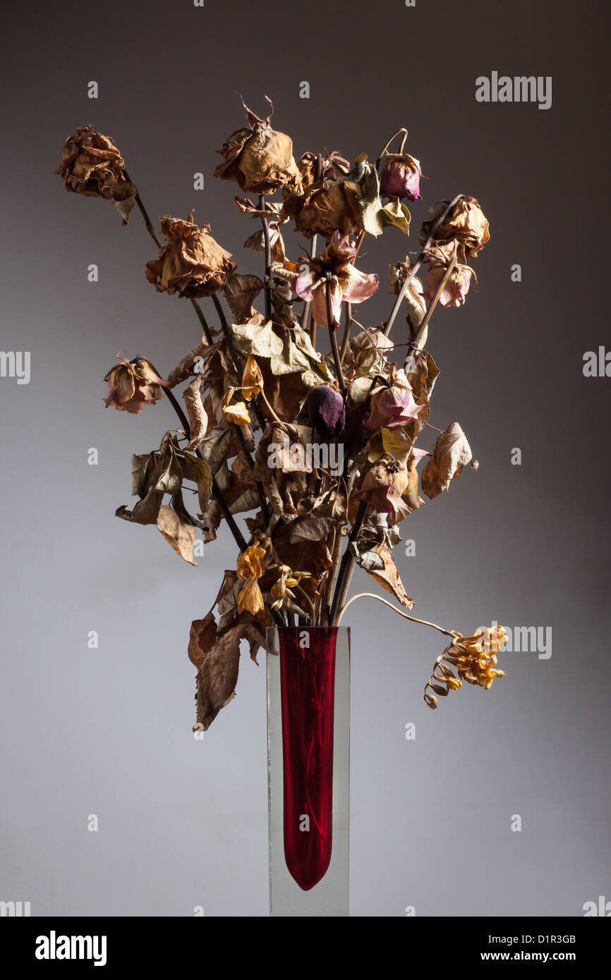 Nature morte de fleurs sèches dans un vase de verre Banque D'Images