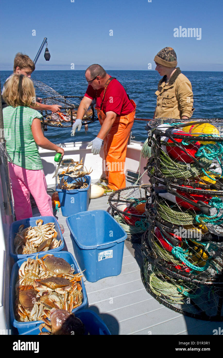 La pêche du crabe dans l'océan Pacifique au large de la côte de Depoe Bay, Oregon, USA. Banque D'Images