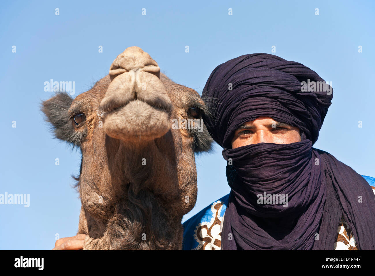 Le Maroc, M'Hamid, Erg Chigaga. Désert du Sahara. Camel et camel-pilote. Banque D'Images