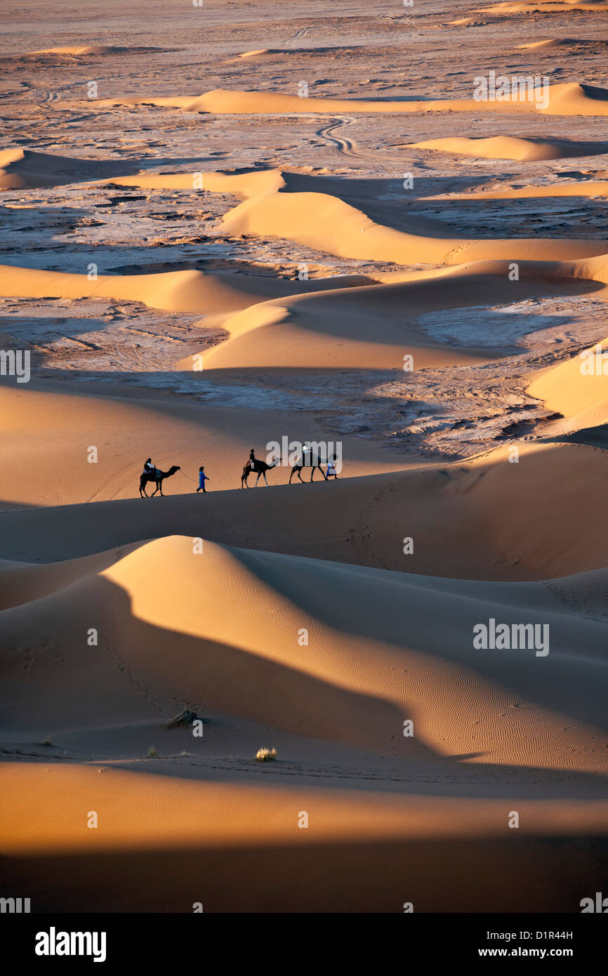 Le Maroc, M'Hamid, Erg Chigaga dunes de sable. Désert du Sahara. Camel-drivers, caravane de chameaux et des touristes qui arrivent au camp, bivouac. Banque D'Images