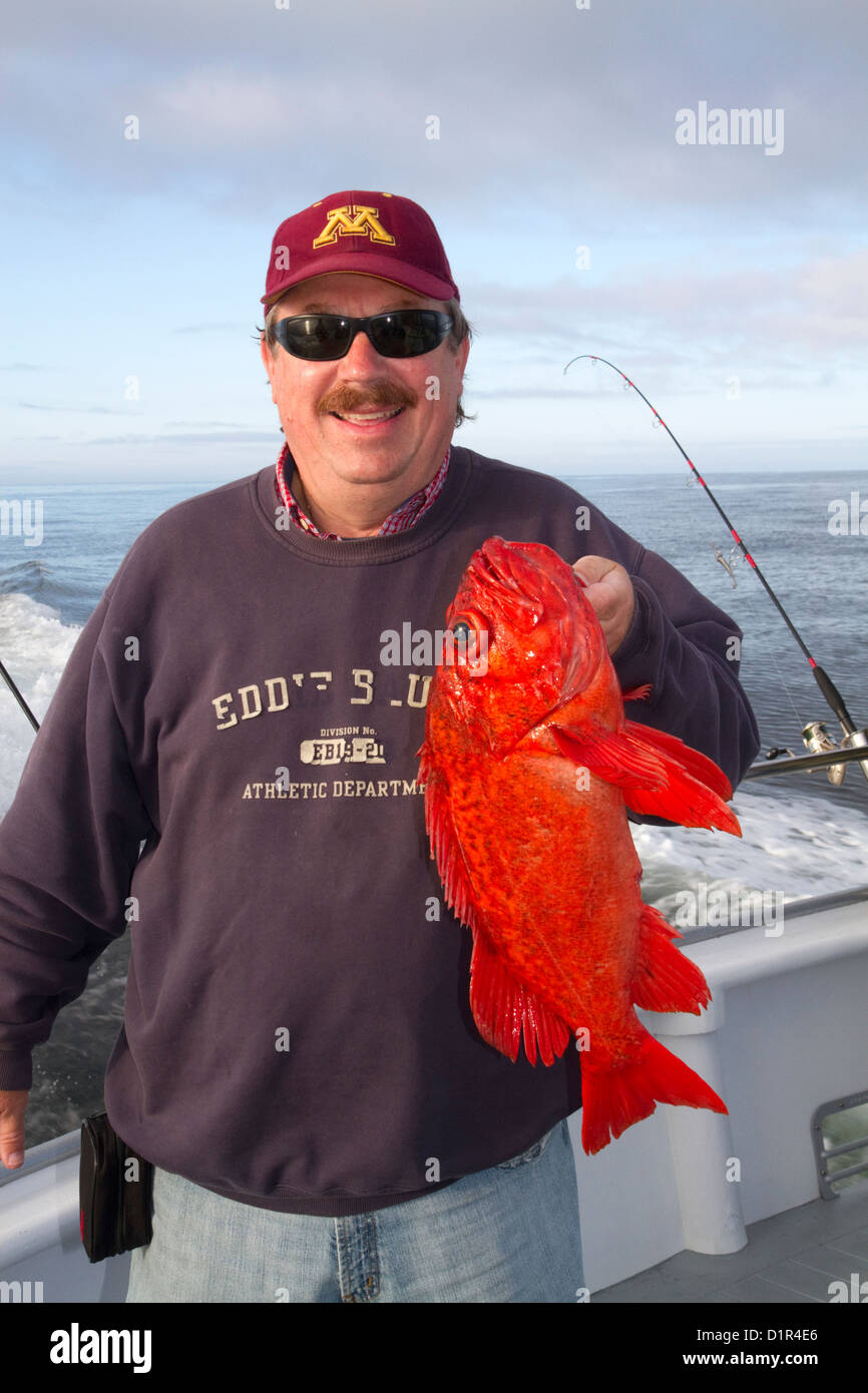 Fisherman holding ses prises d'un sébaste Vermillion dans l'océan Pacifique au large de la côte de Newport, Oregon, USA. Banque D'Images