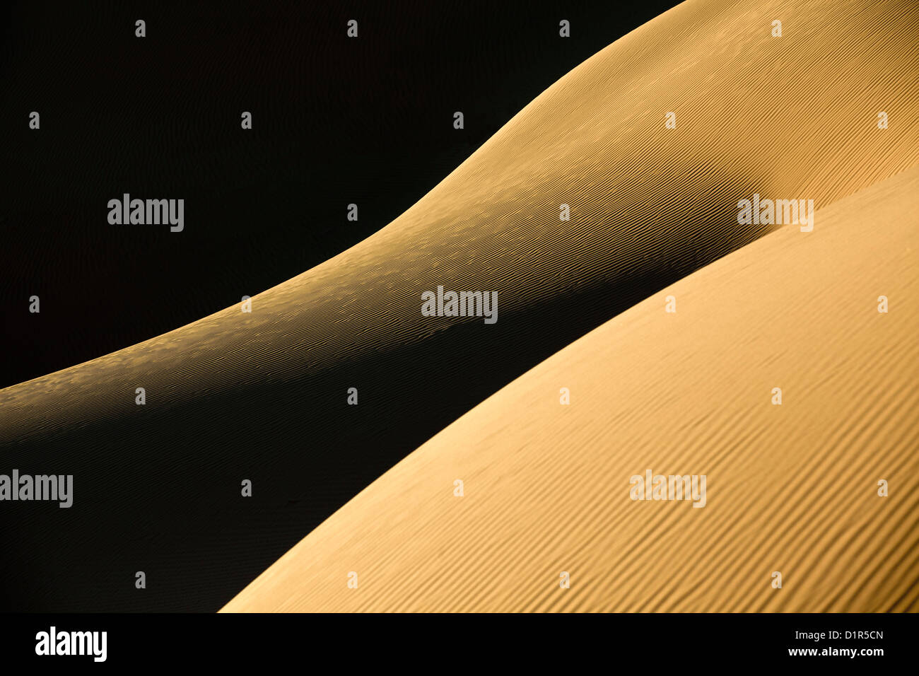 Le Maroc, M'Hamid, Erg Chigaga dunes de sable. Désert du Sahara. Détail des marques d'ondulation. Banque D'Images
