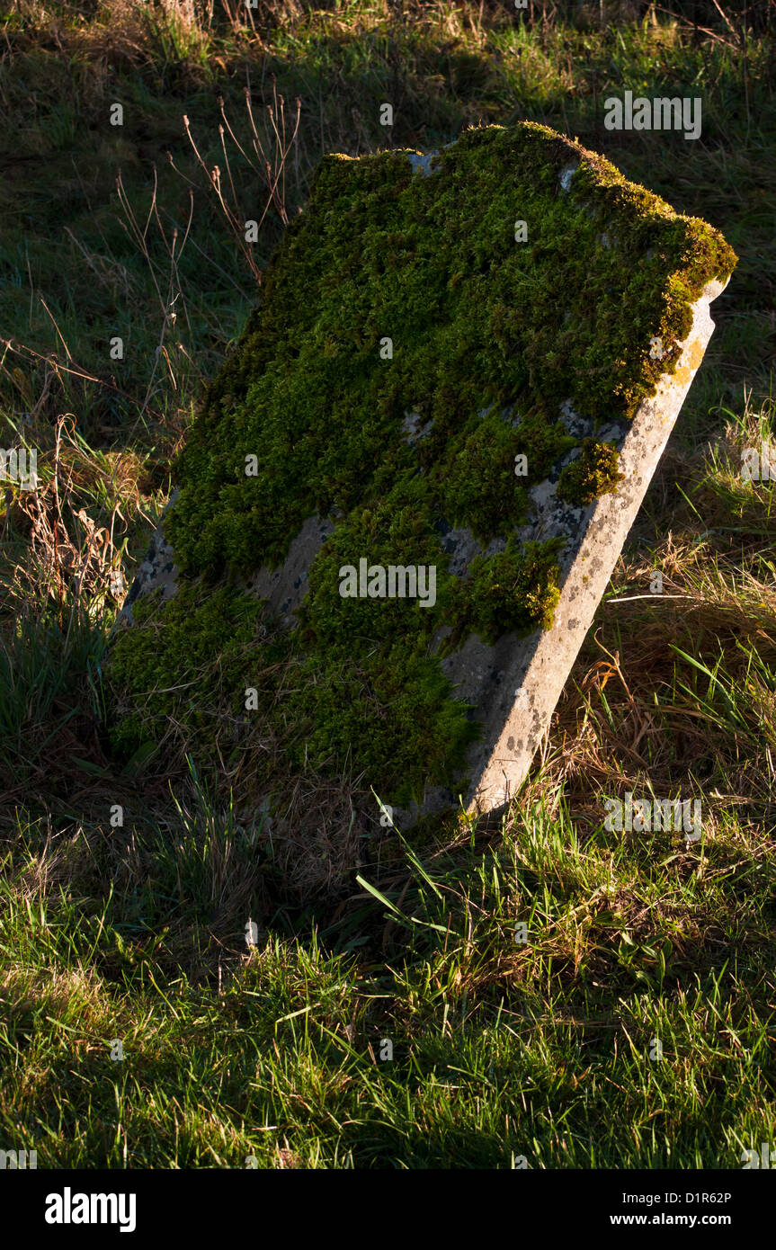 Pierres tombales anciennes couverts de mousse Banque D'Images