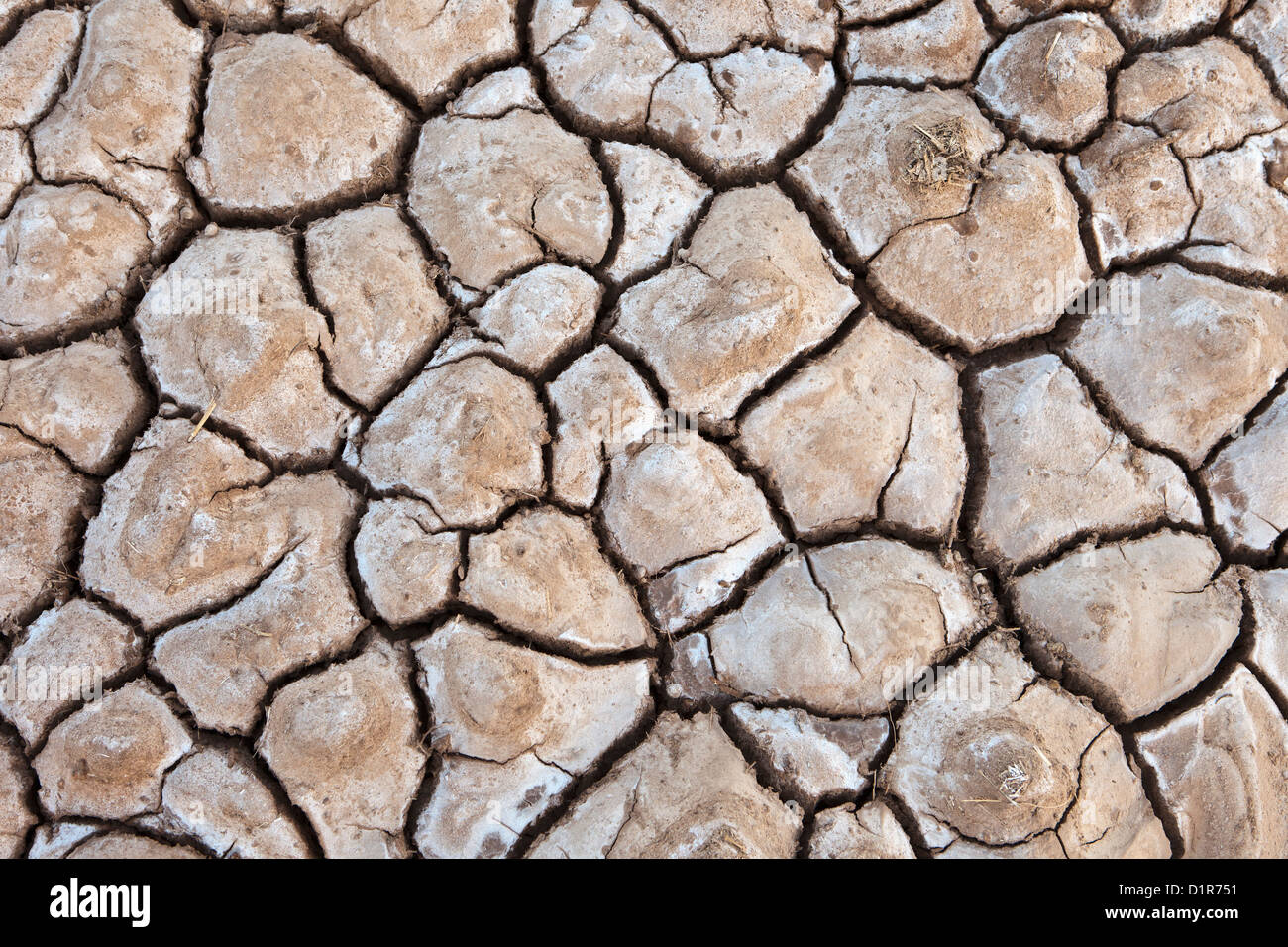 Le Maroc, Ait Ben Haddou, la sécheresse du sol. Banque D'Images