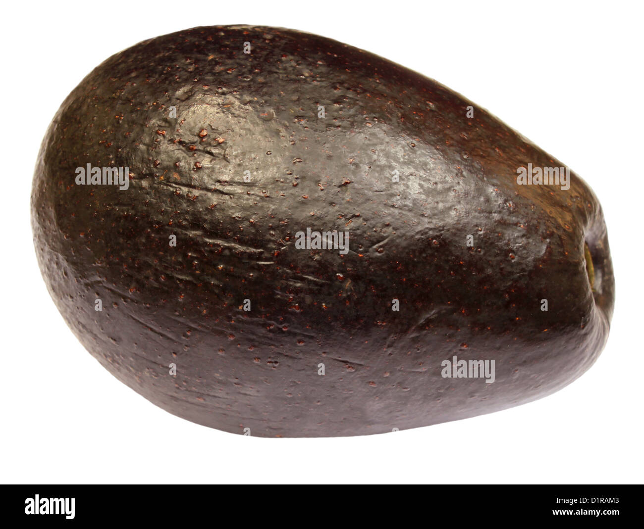 Fruits tropicaux frais avocat Banque D'Images