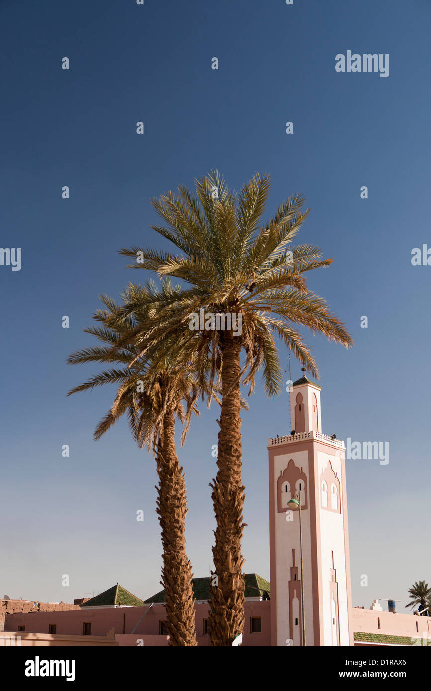 Le Maroc, Tamegroute, près de Zagora, Minaret de mosquée et palmiers. Banque D'Images