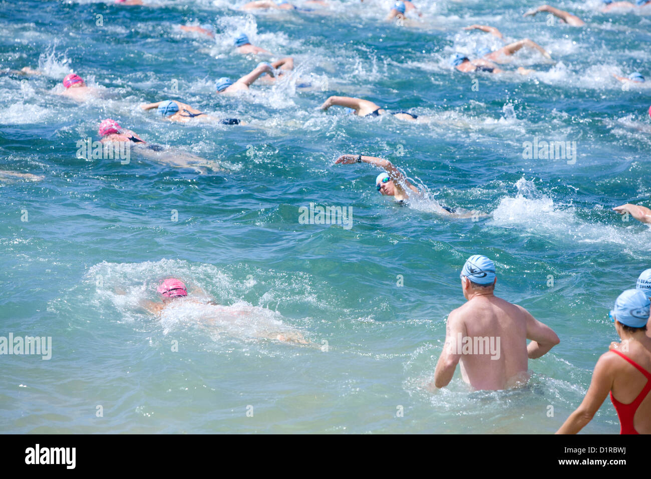 Les nageurs participent à la course de natation en mer d'avalon Beach qui a lieu chaque année en été dans le cadre de la série de nage en mer de Pittwater, Sydney, Australie Banque D'Images