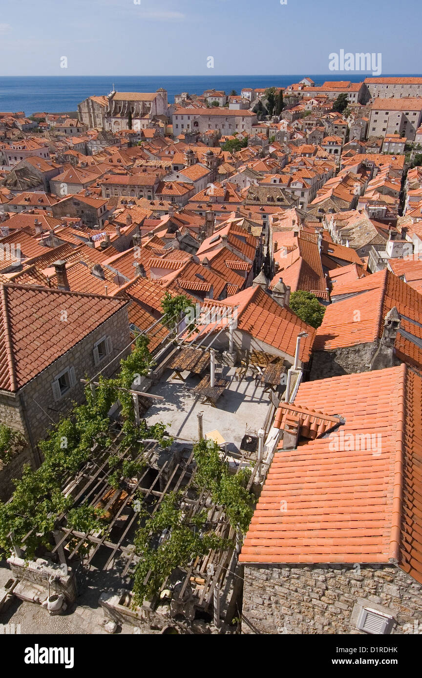 Elk192-3347v la Croatie, la côte dalmate, Dubrovnik, ville rouge les toits, nouveau et réparé après les bombardements serbes Banque D'Images