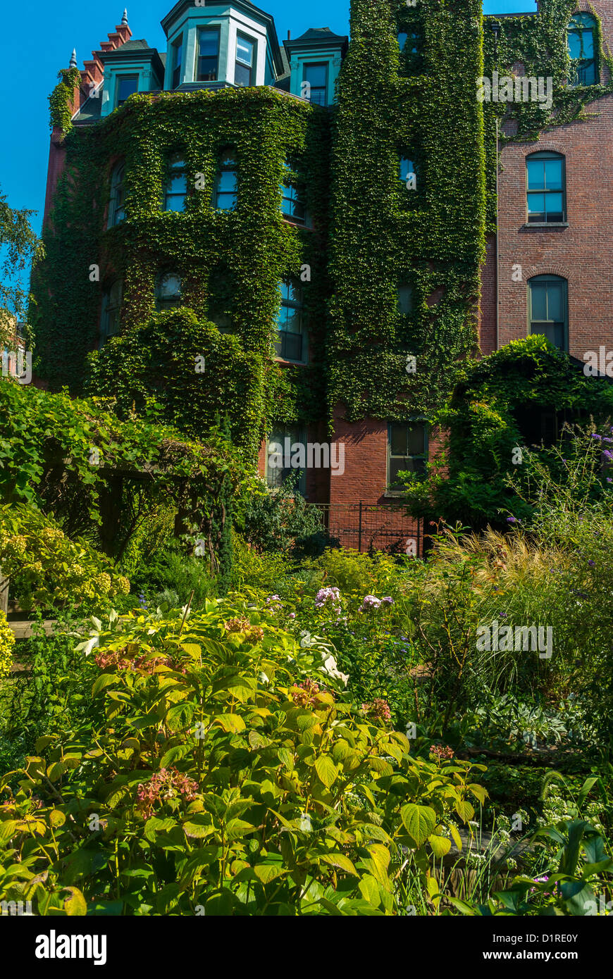 New York City, NY USA, East Village Scenic, E. 6th St Botanical Community Garden New York Neighborhood, biodiversité urbanisation Banque D'Images