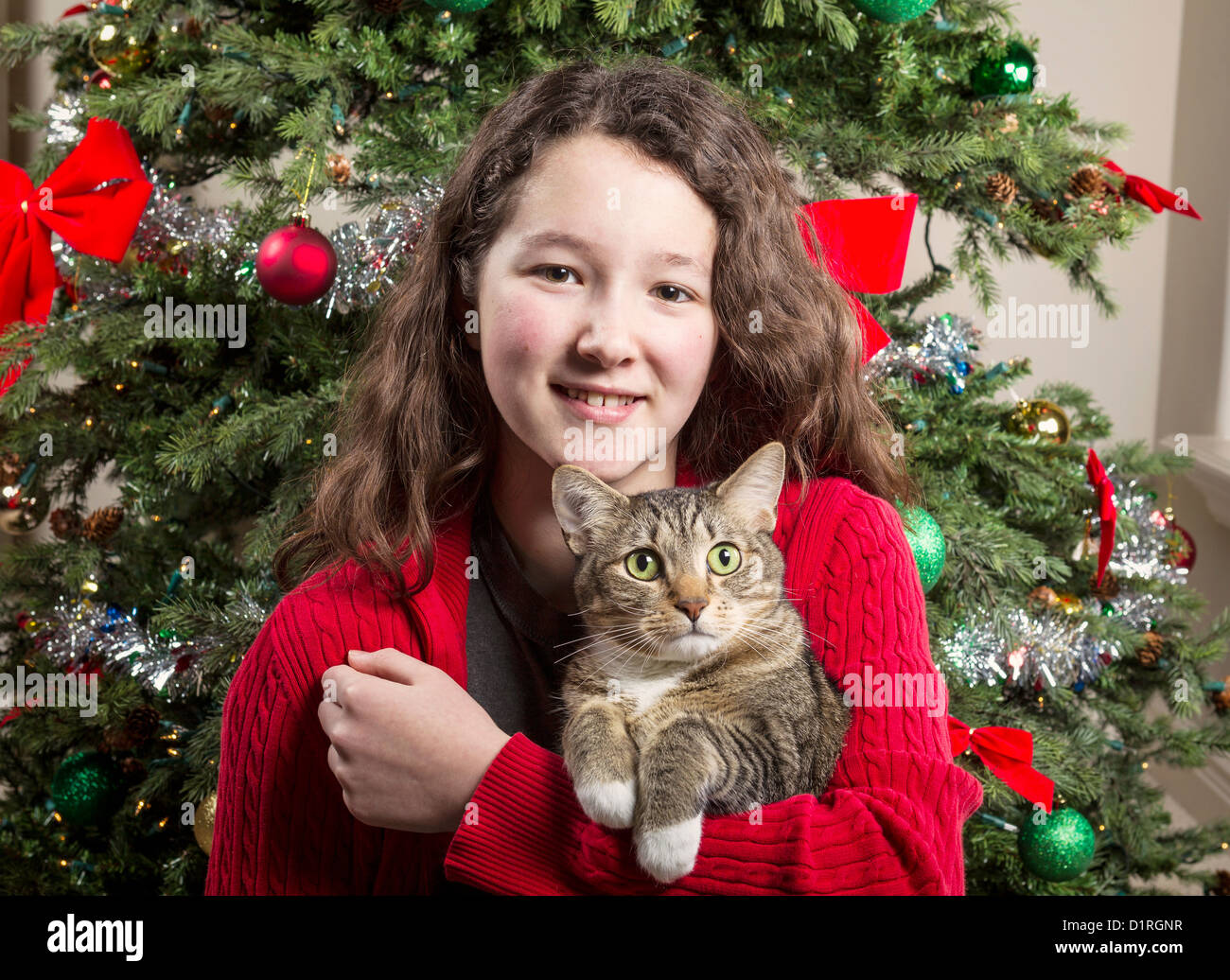 Young Girl holding cheveux gris cat arbre de Noël en arrière-plan Banque D'Images