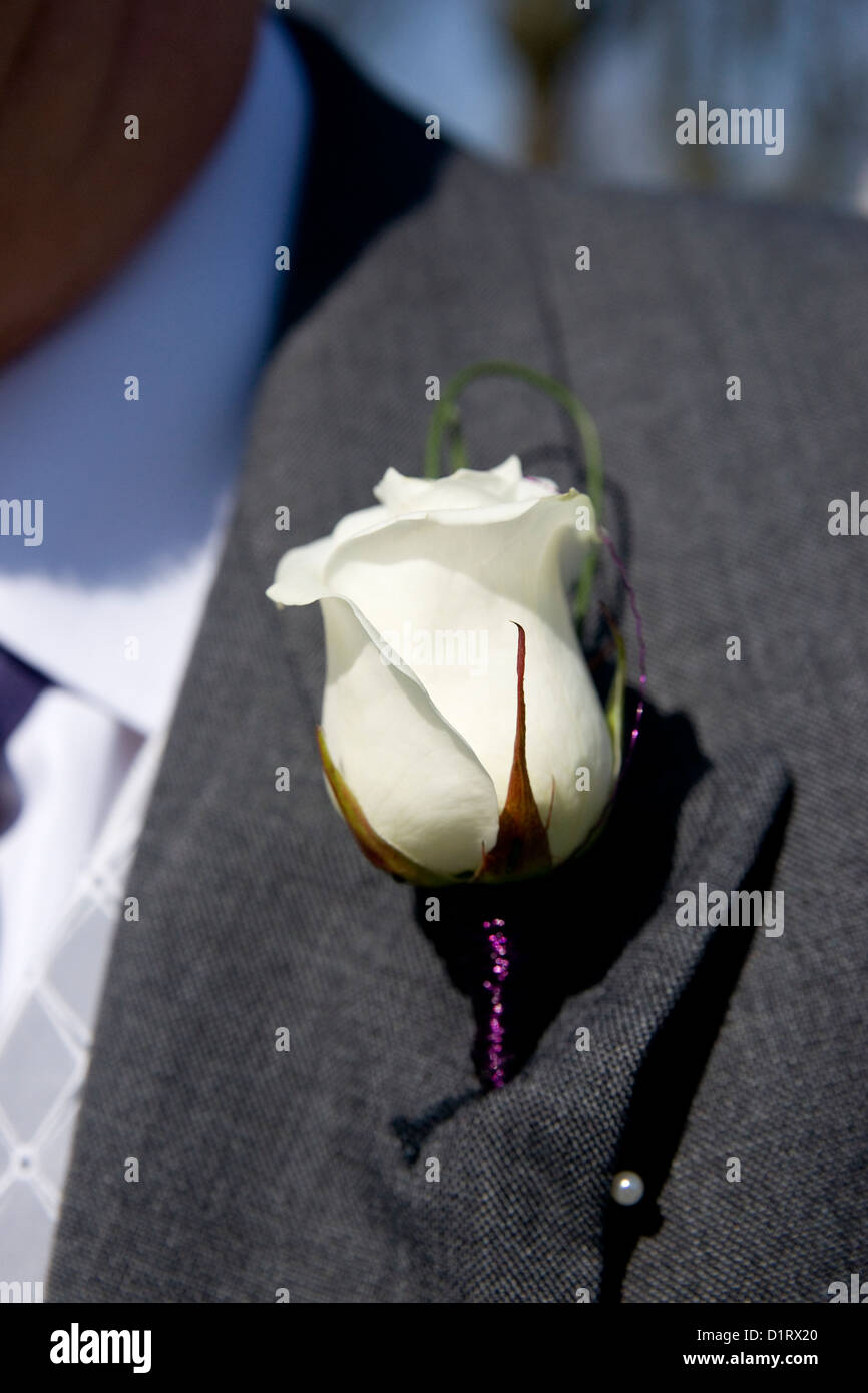 Rose blanche, fleur de boutonnière de Mariage Banque D'Images