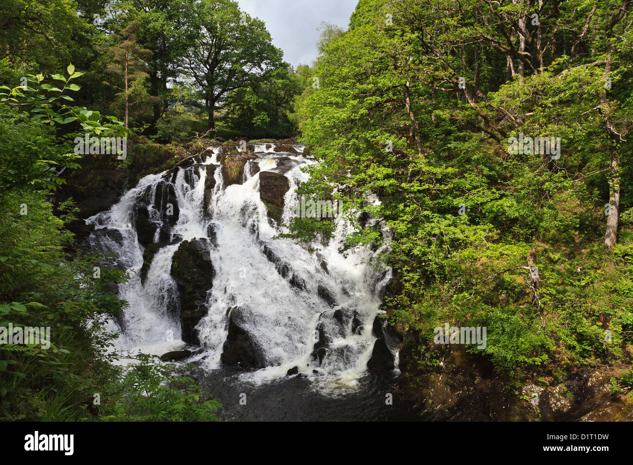 Swallow Falls, Betws-Y-coed, Gwynedd, au nord du Pays de Galles Banque D'Images