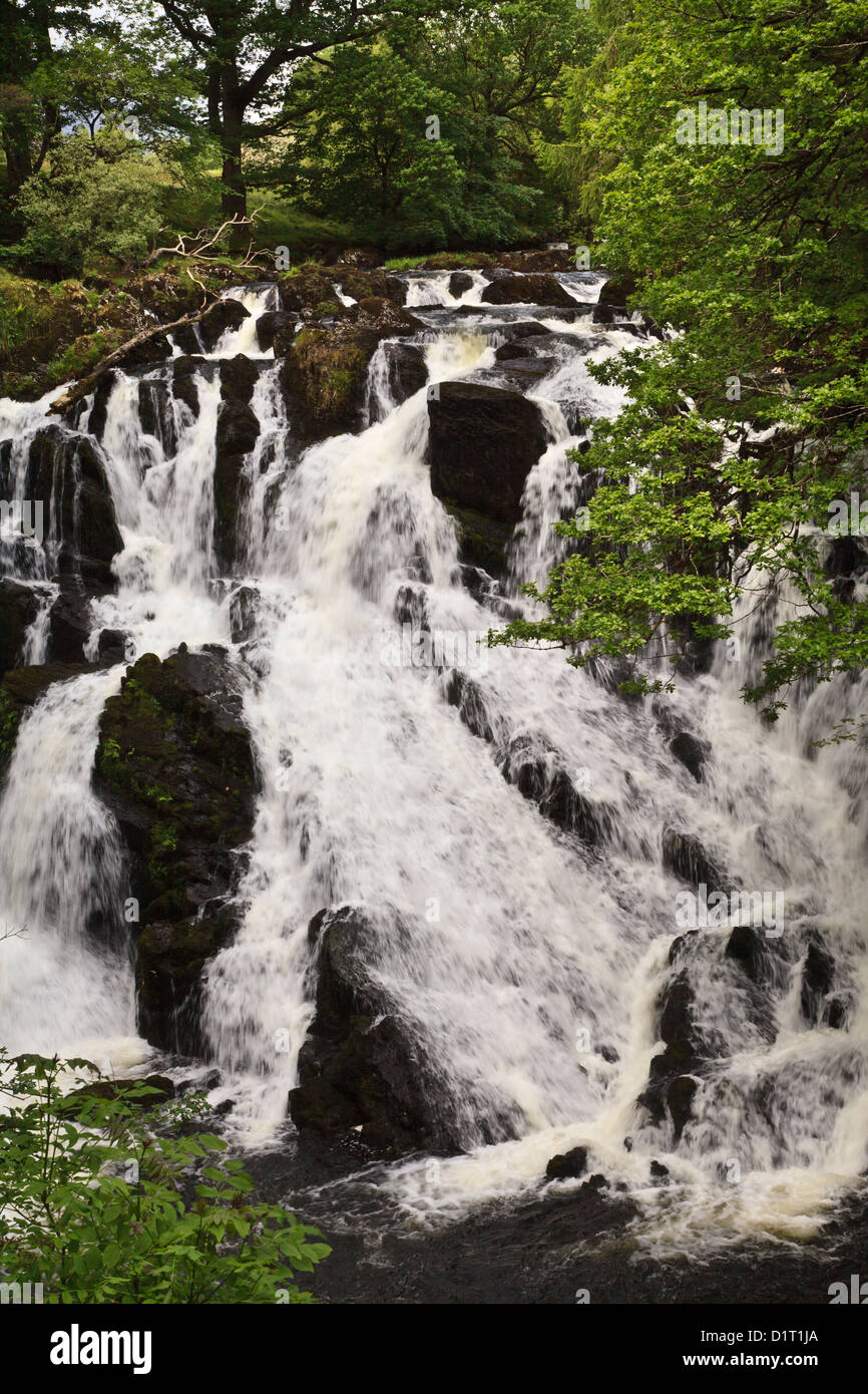 Swallow Falls, Betws-Y-coed, Gwynedd, au nord du Pays de Galles Banque D'Images