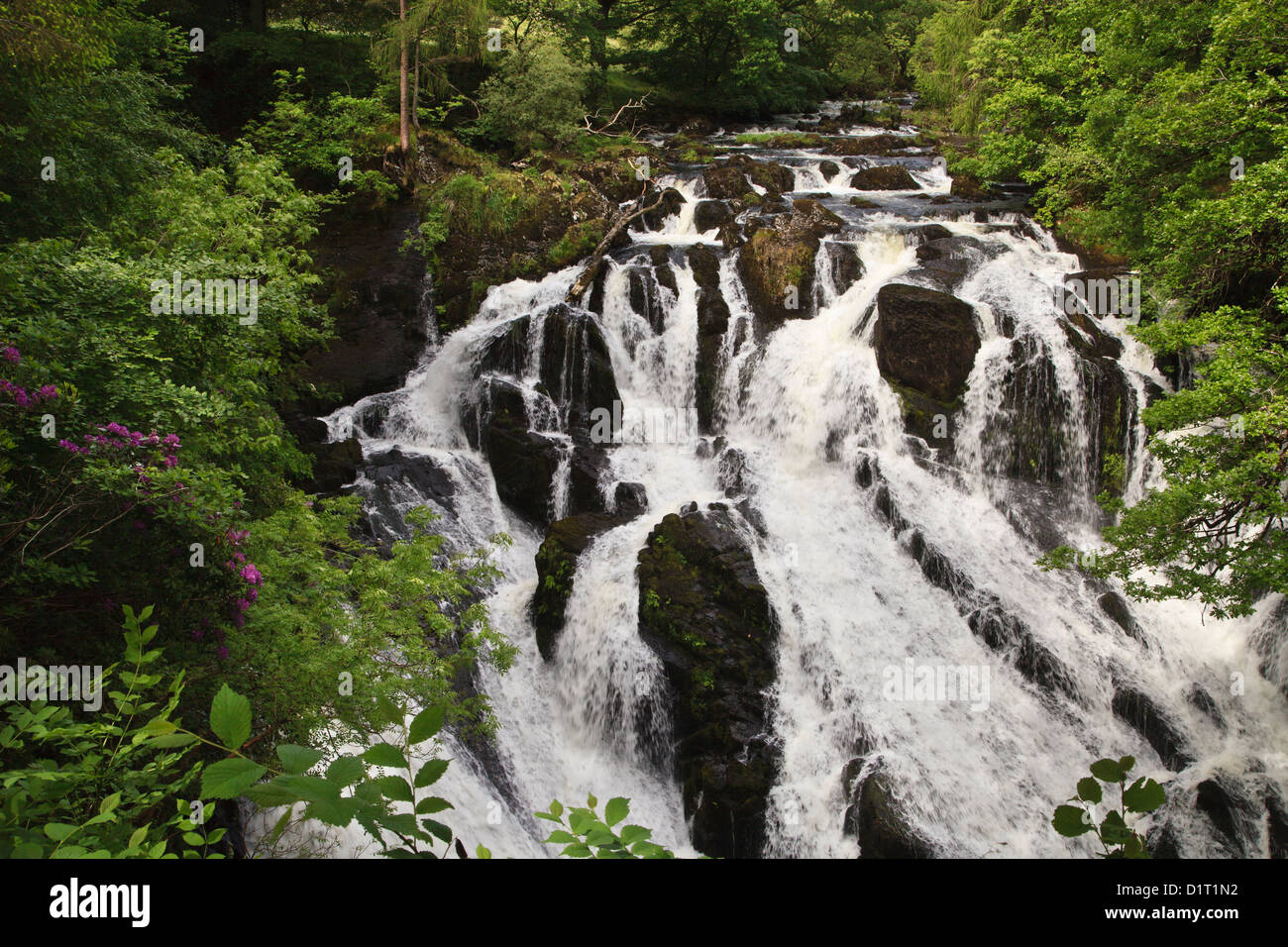 Swallow Falls, Betws-Y-coed, Gwynedd, au nord du Pays de Galles Banque D'Images