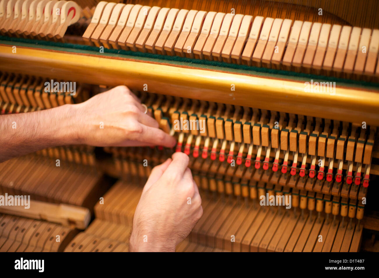 Piano tuning man Banque D'Images