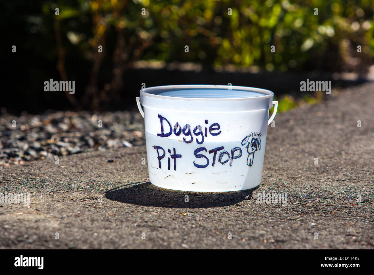 Un seau en plastique blanc étiqueté "Doggie Pit Stop" à la main sert de bol d'eau pour les chiens au bord de la route à Ucluelet, Colombie-Britannique, Canada Banque D'Images