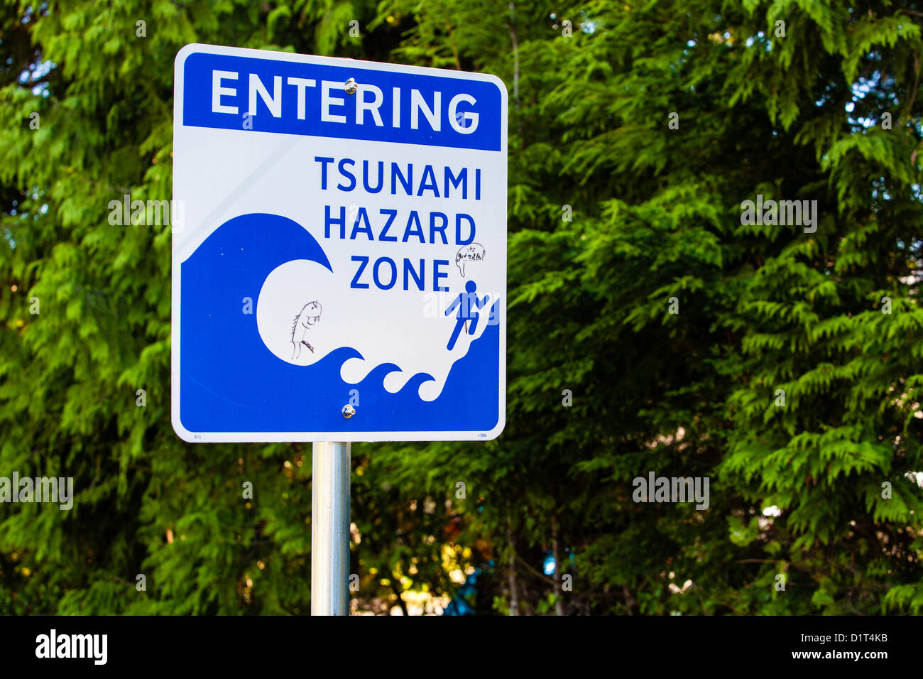 Panneau de signalisation indiquant "Entrée dans la zone de risque de tsunami" à Ucluelet, Colombie-Britannique, Canada Banque D'Images