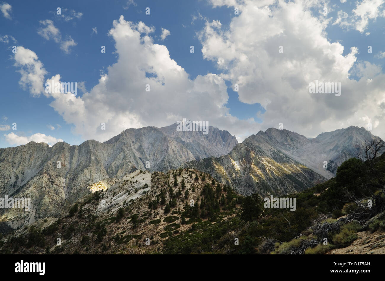 Paysage de montagne Mont Williamson sentier du col de Shepherd Banque D'Images