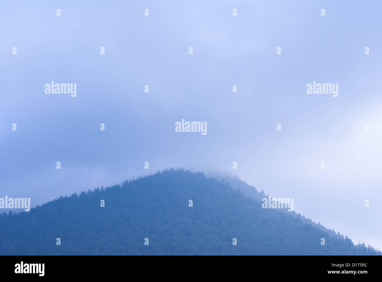 Voir les sommets des montagnes couvertes par le brouillard, l'Ukraine Banque D'Images