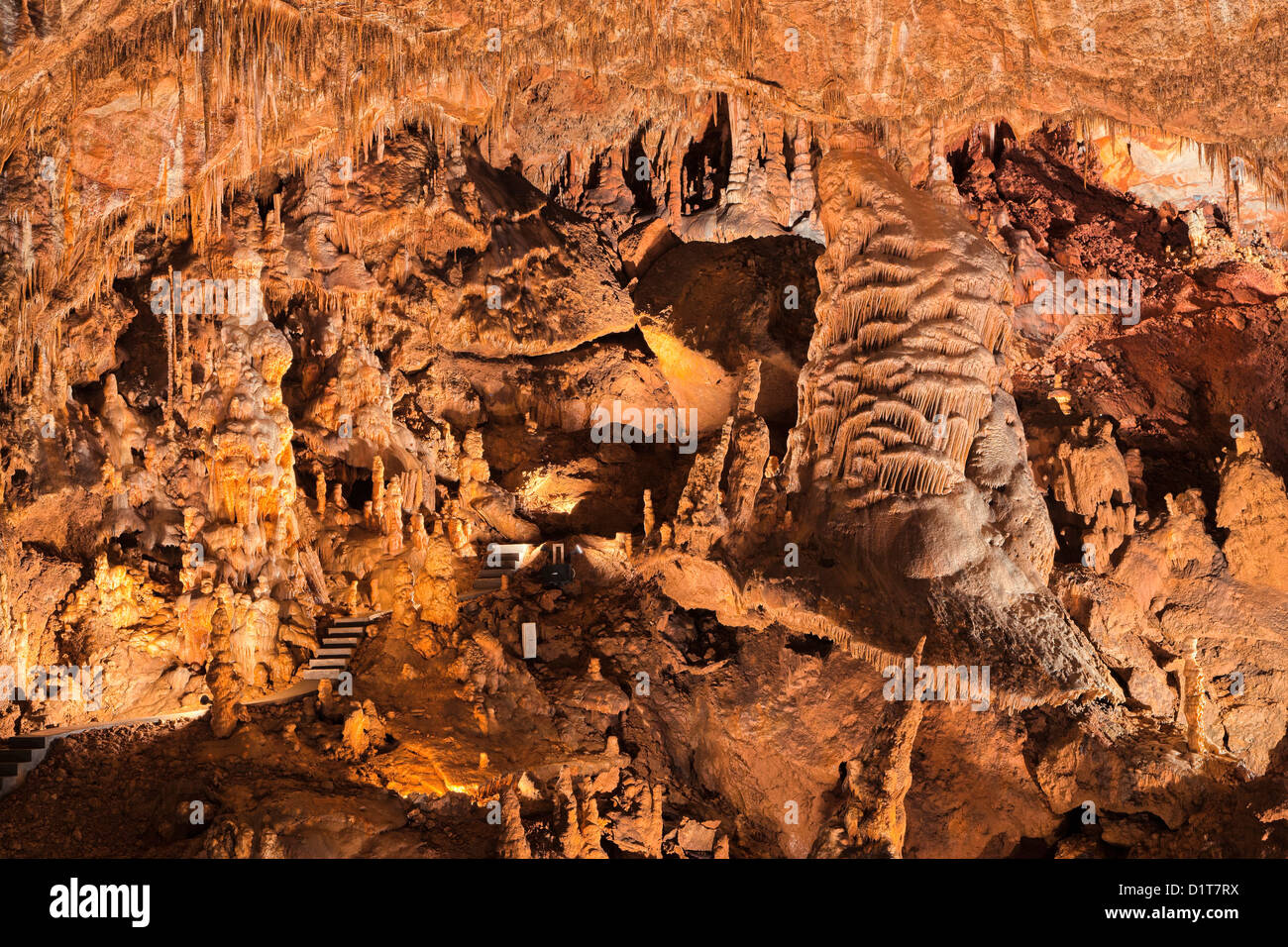 La grotte Baradla dans le Parc National d'Aggtelek, Hongrie. Hall des Géants, 125m de long et 55m de large. Banque D'Images