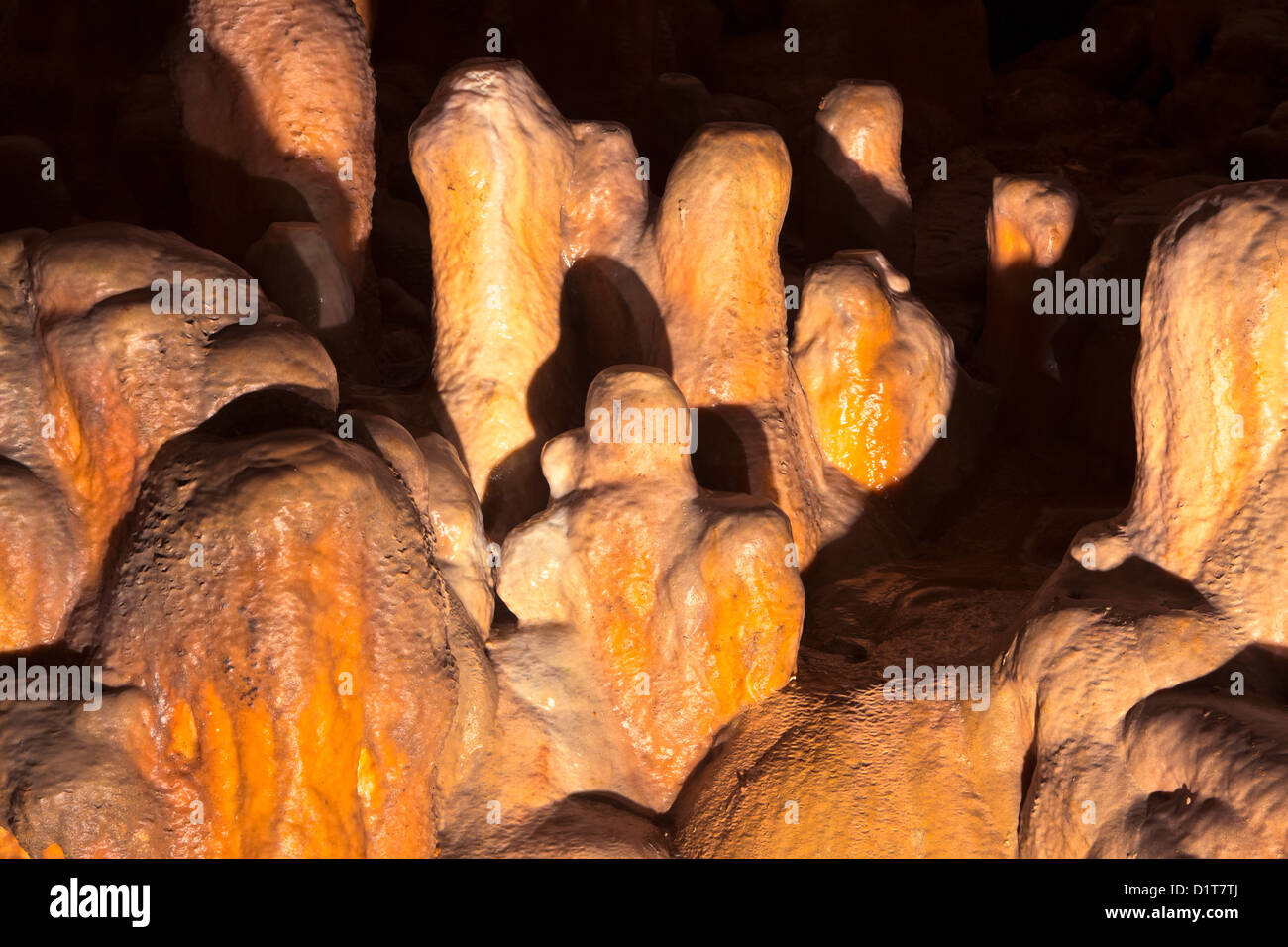 La grotte Baradla dans le Parc National d'Aggtelek, Hongrie, de petites stalagmites colorés. Banque D'Images