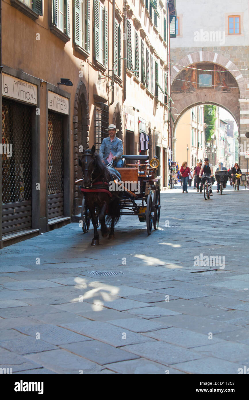 L'Europe, Italie, Lucques. Cheval de tourisme wagon Banque D'Images