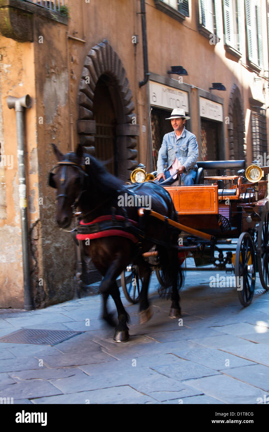 L'Europe, Italie, Lucques. Cheval de tourisme wagon Banque D'Images