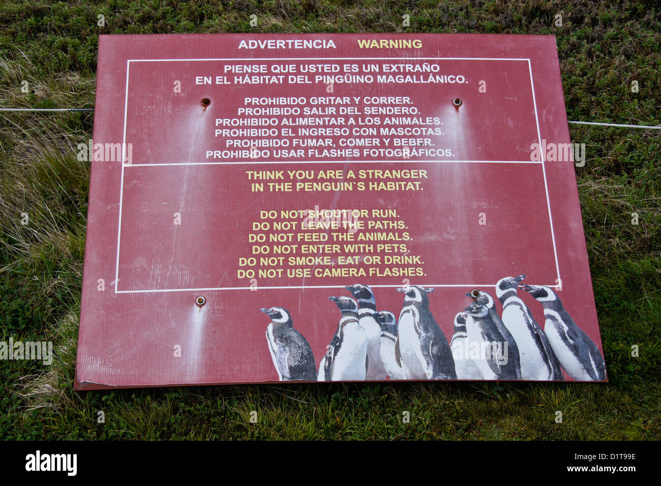 Panneau d'avertissement à la réserve de pingouins de Seno Otway, Patagonie, Chili Banque D'Images