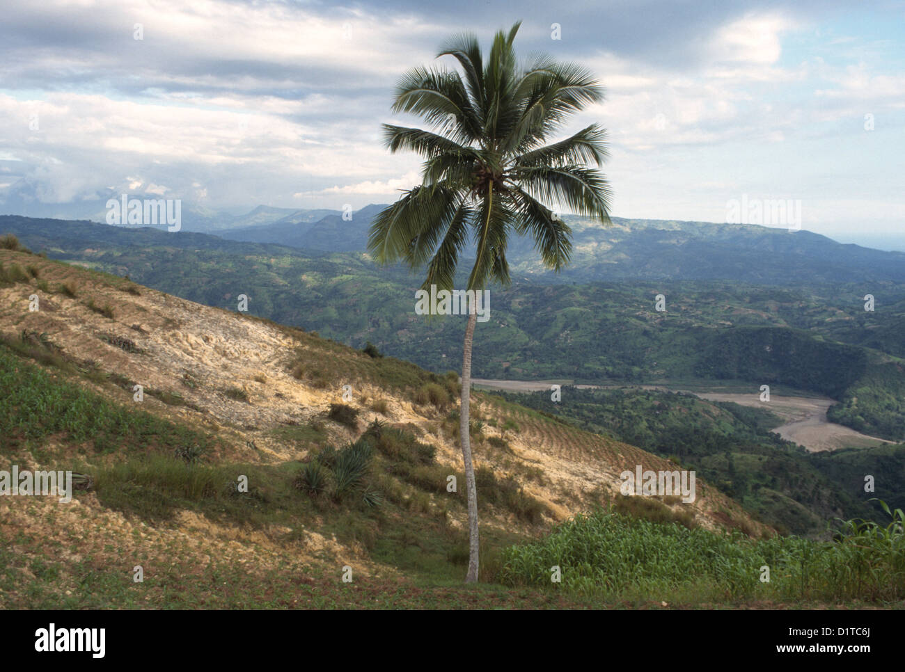 La déforestation et la désertification dans la campagne dans la région du centre d'Haïti Banque D'Images