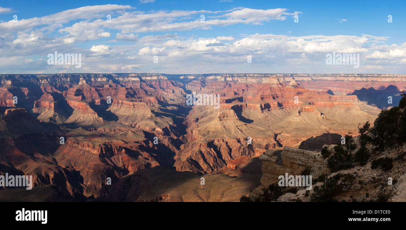 Grand Canyon NP, Arizona USA Banque D'Images