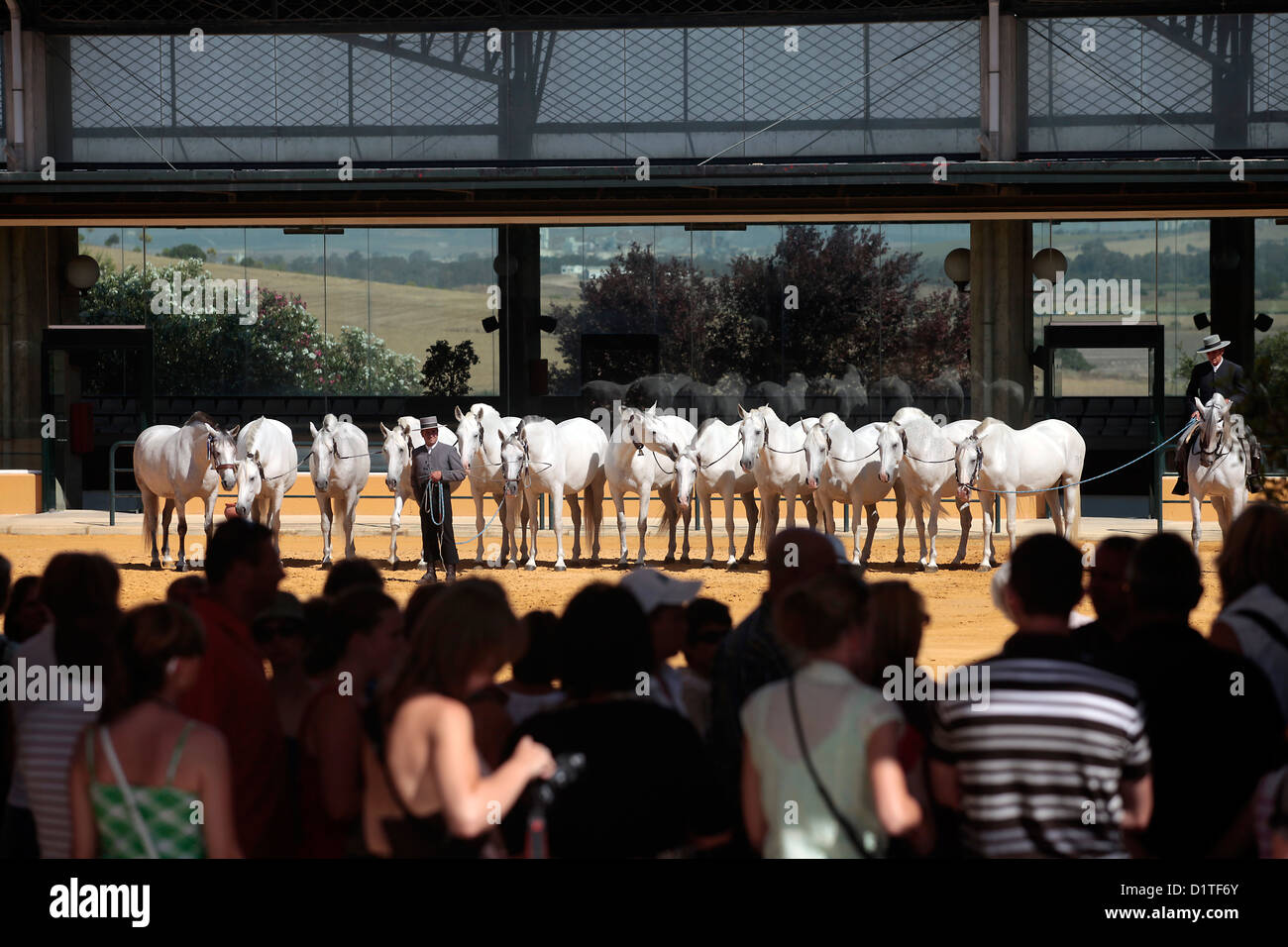 Jerez de la Frontera, Espagne, spectacle équestre au Haras Yeguada de la Cartuja Banque D'Images