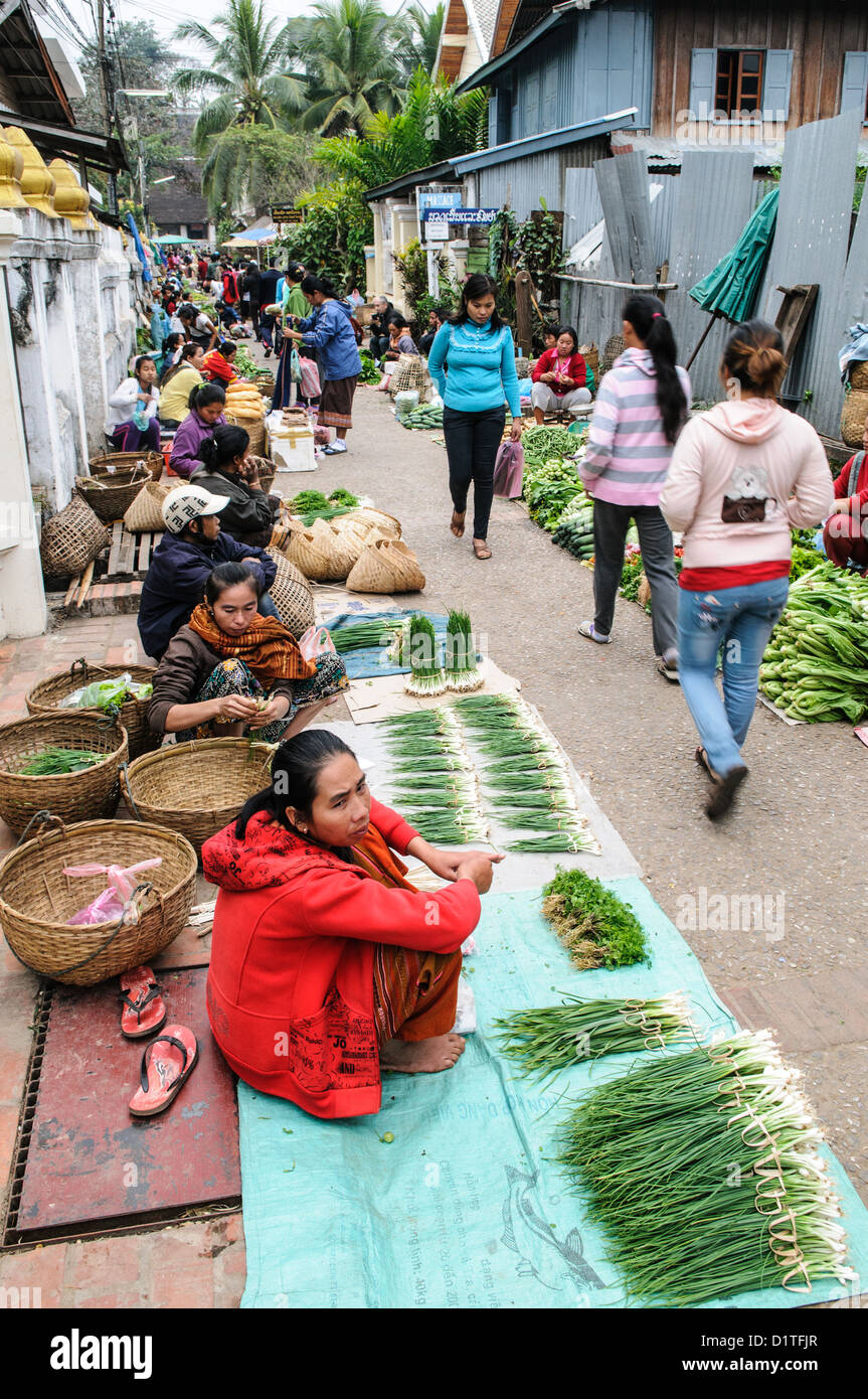 LUANG PRABANG, Laos — une gamme de produits frais colorés exposés au marché du matin à Luang Prabang, Laos. Les vendeurs locaux offrent une variété de fruits, légumes et herbes, mettant en valeur la richesse agricole de la région et jouant un rôle vital dans la vie quotidienne et la culture culinaire de la ville. Banque D'Images