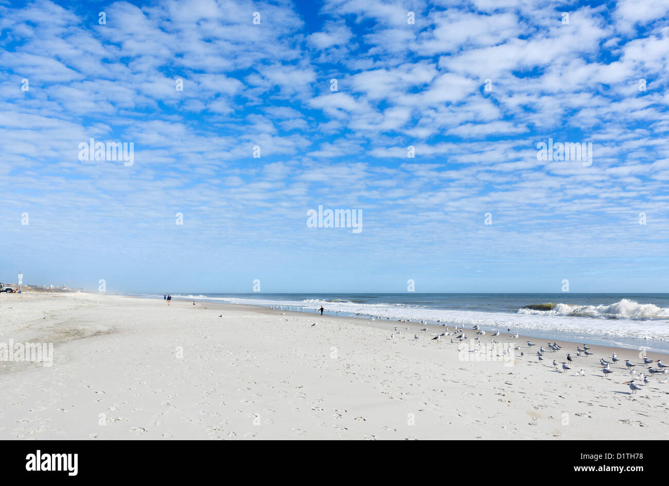 Parc en bord de plage, à Fernandina Beach, Amelia Island, Floride, USA Banque D'Images