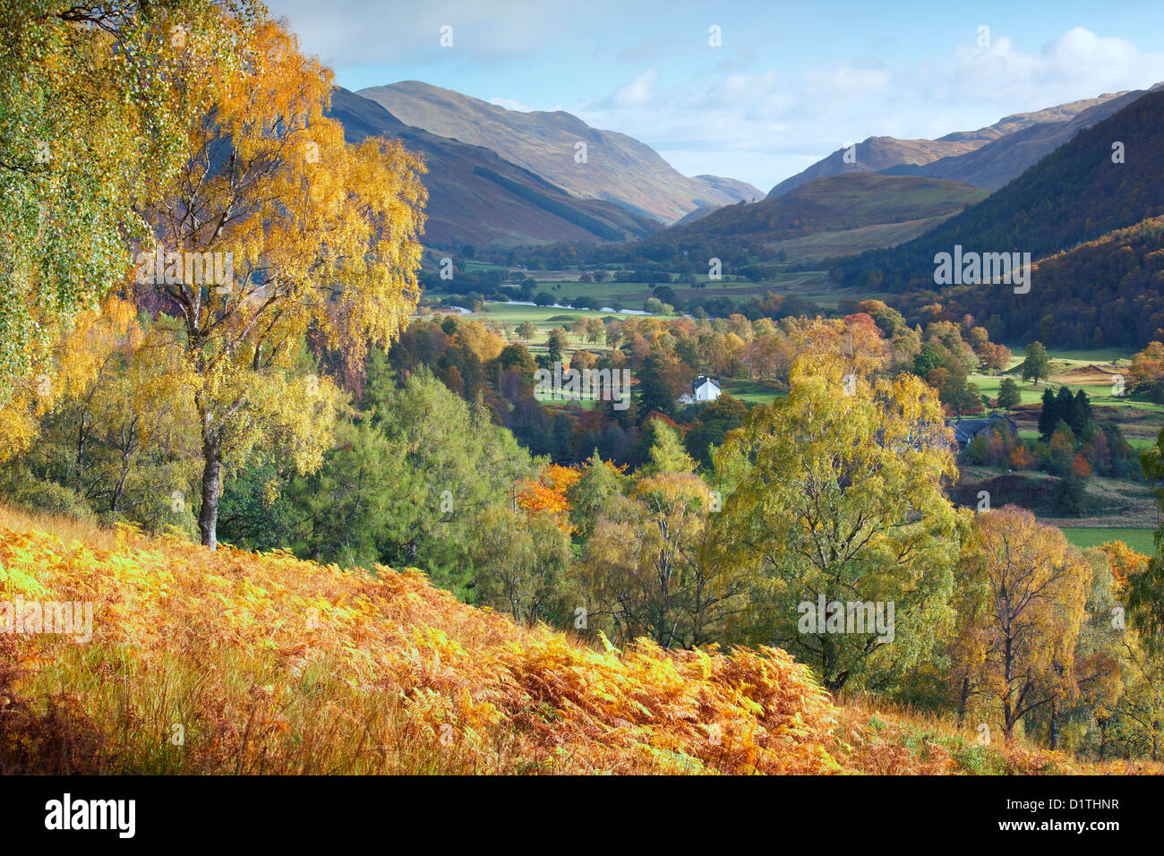 L'automne à Glen Lyon, Perth et Kinross, Scotland Banque D'Images