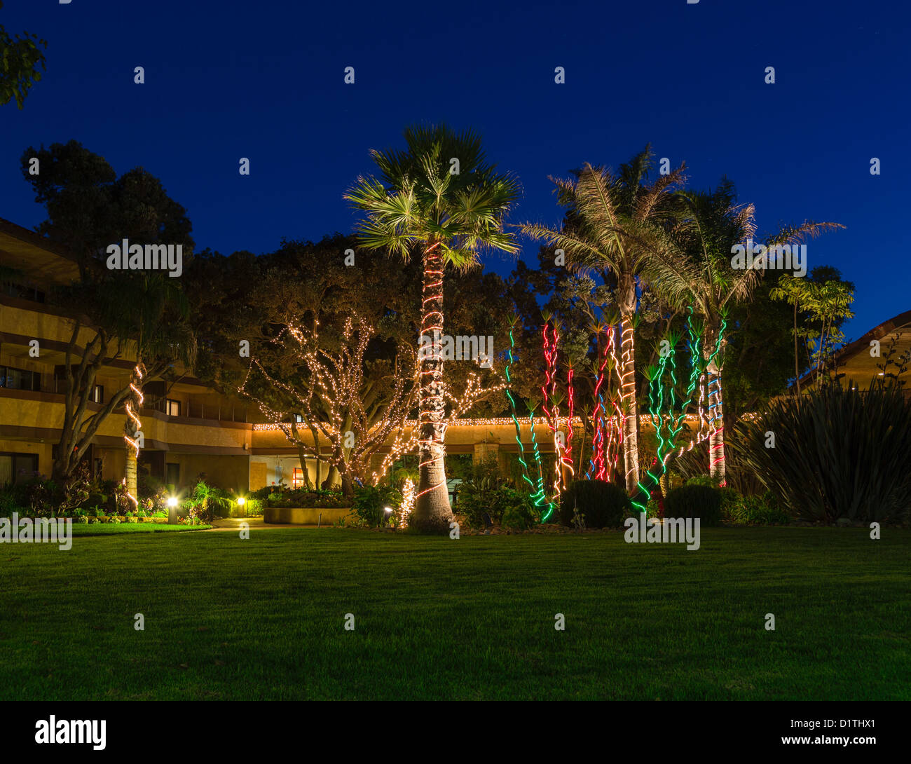Palmiers dans le jardin de l'hôtel décoré avec des lumières de Noël en début de soirée Banque D'Images