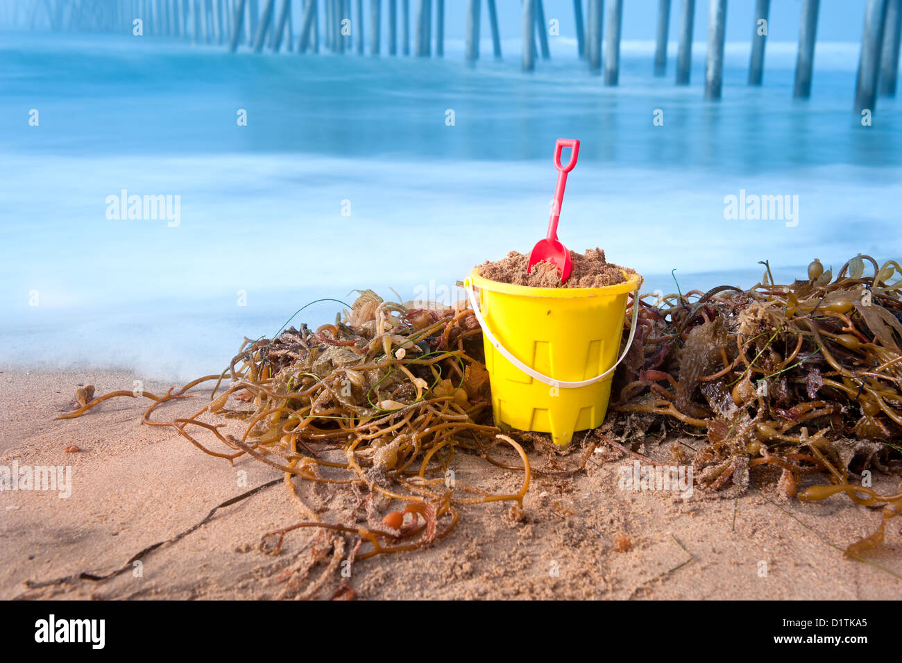 Un jouet plage seau et pelle reposant sur une plage de sable fin avec une usine d'algues qui l'entourent. Banque D'Images