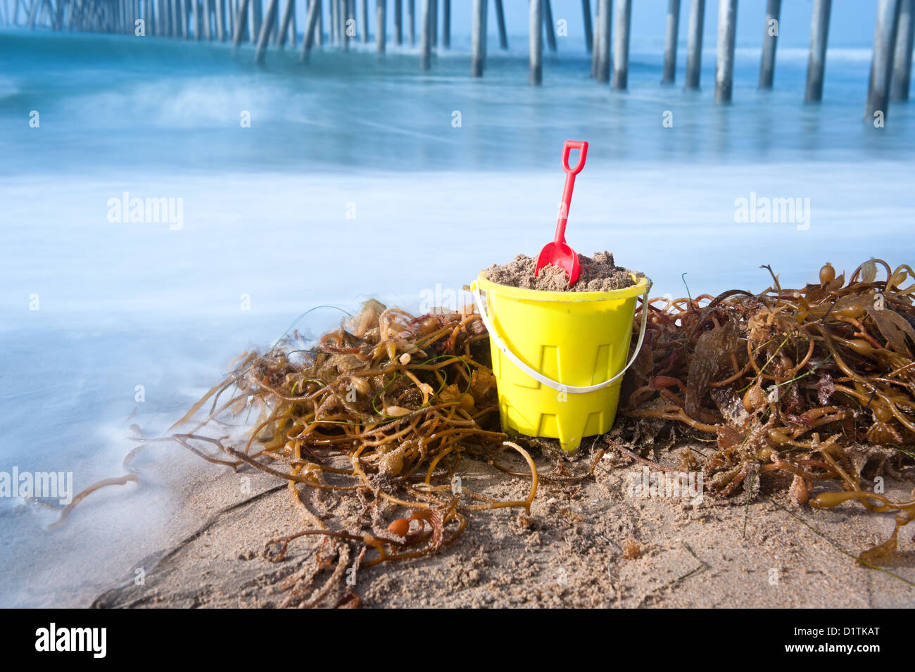 Un jouet plage seau et pelle reposant sur une plage de sable fin avec une usine d'algues qui l'entourent. Banque D'Images