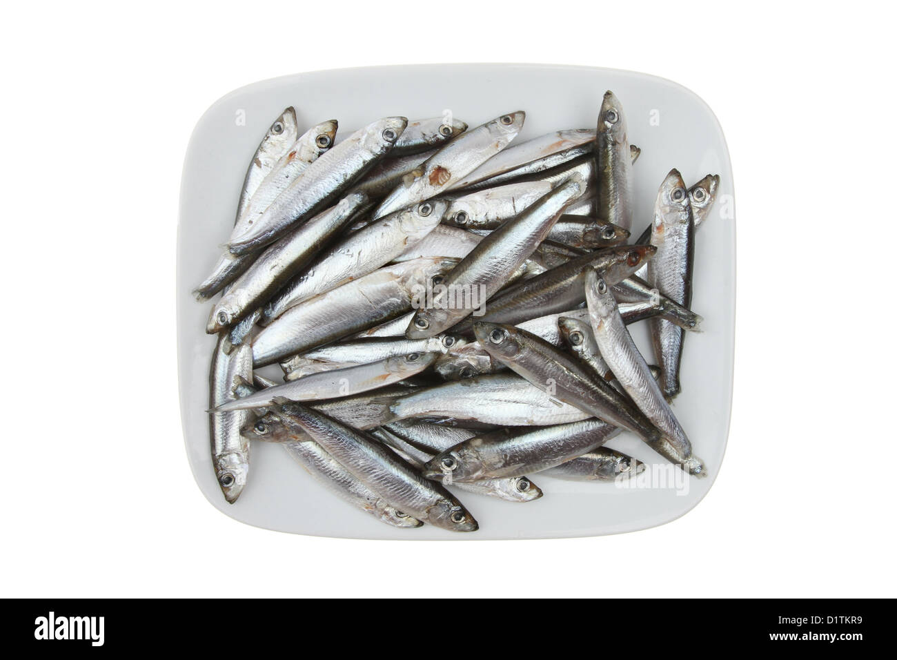 Les petits poissons crus whitebait sur une plaque isolés contre white Banque D'Images