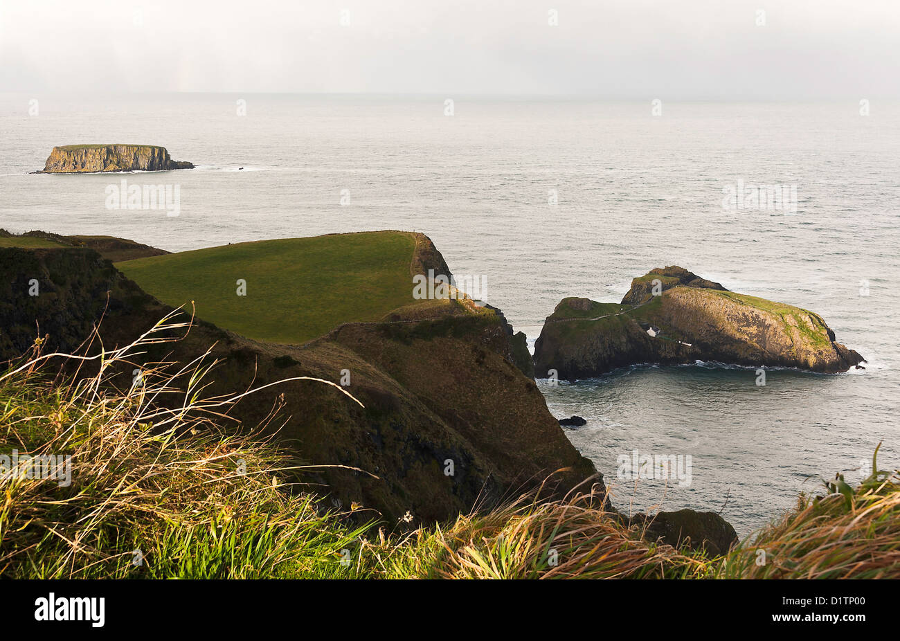 Le Carrick A Rede à Carrick Island Ballycastle le comté d'Antrim en Irlande du Nord Royaume-Uni UK Banque D'Images