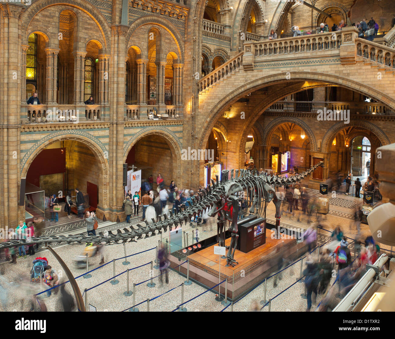 Le Natural History Museum, Londres. Banque D'Images