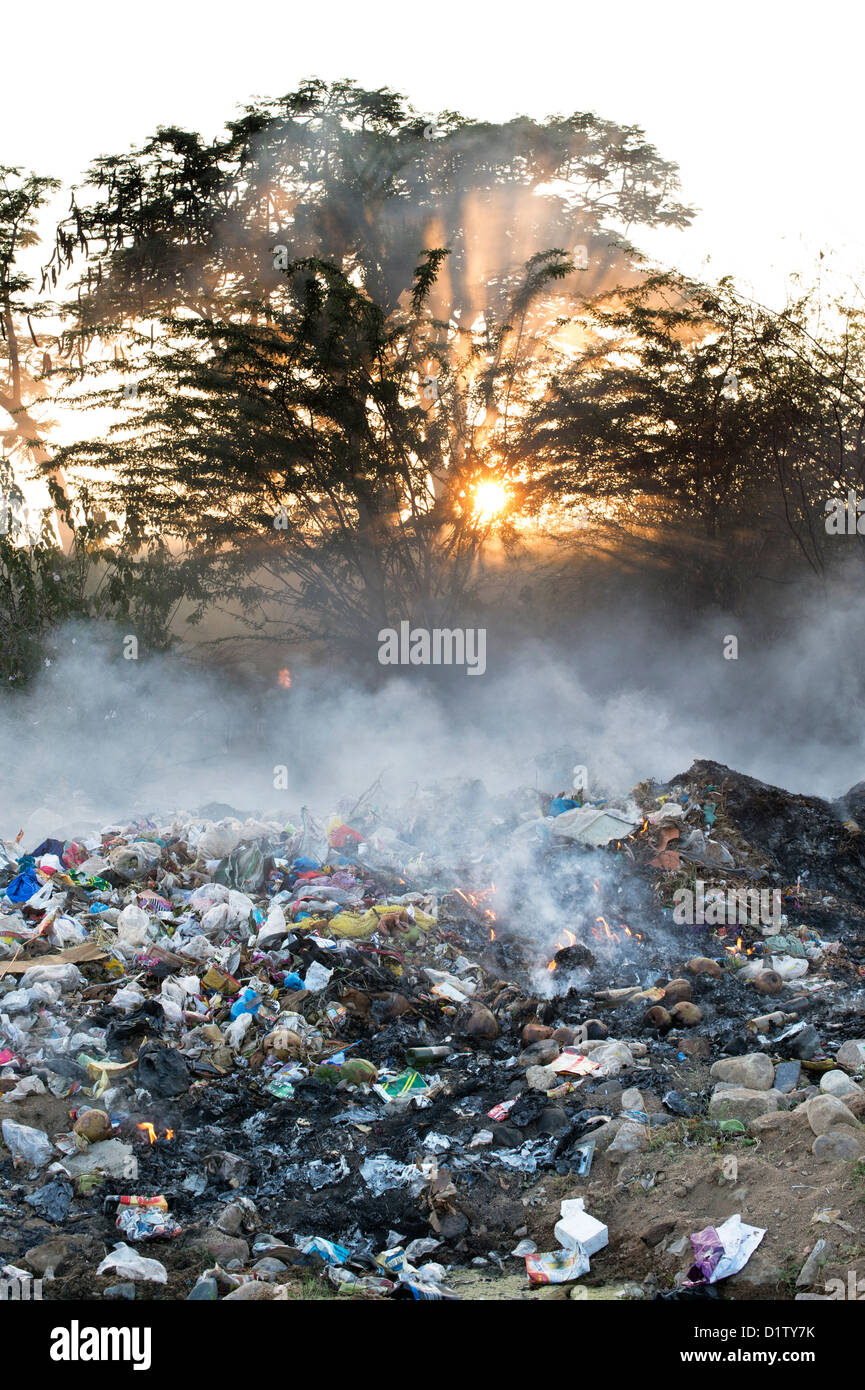 Les déchets ménagers sont brûlés sur la route. L'Andhra Pradesh, Inde Banque D'Images