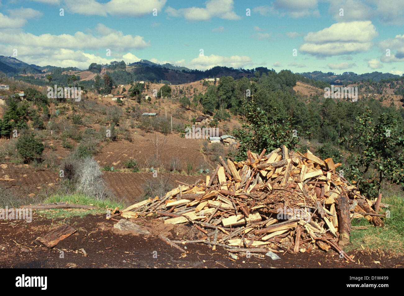Coupe de bois et la déforestation en El Salvador, en Amérique centrale Banque D'Images