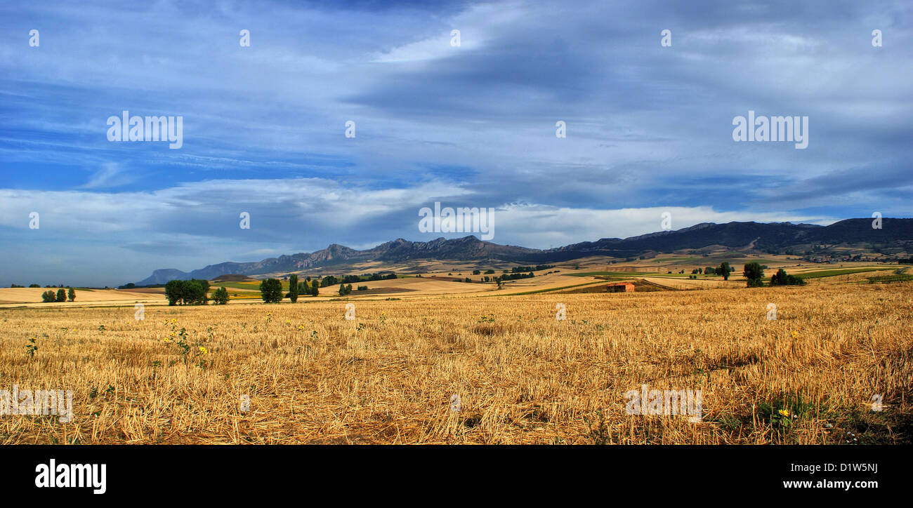 Paysage de Castilla La Mancha, Espagne Banque D'Images