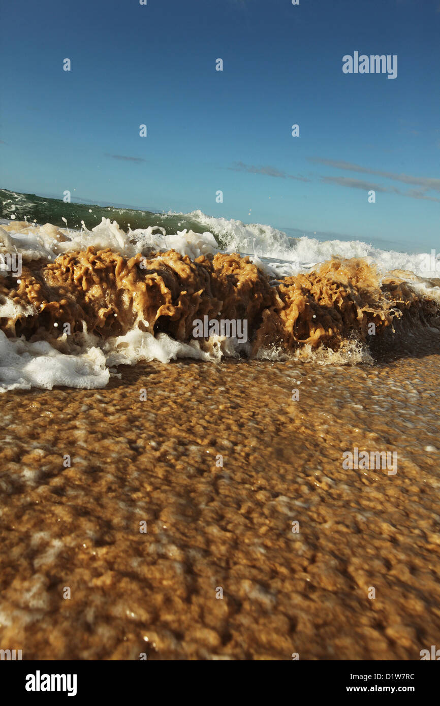 Close up de petites vagues se brisant sur le rivage. Banque D'Images