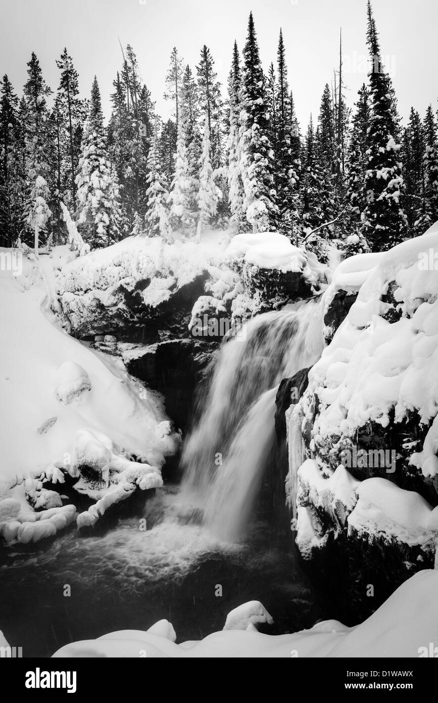 Cascade en hiver, le Parc National de Yellowstone Banque D'Images