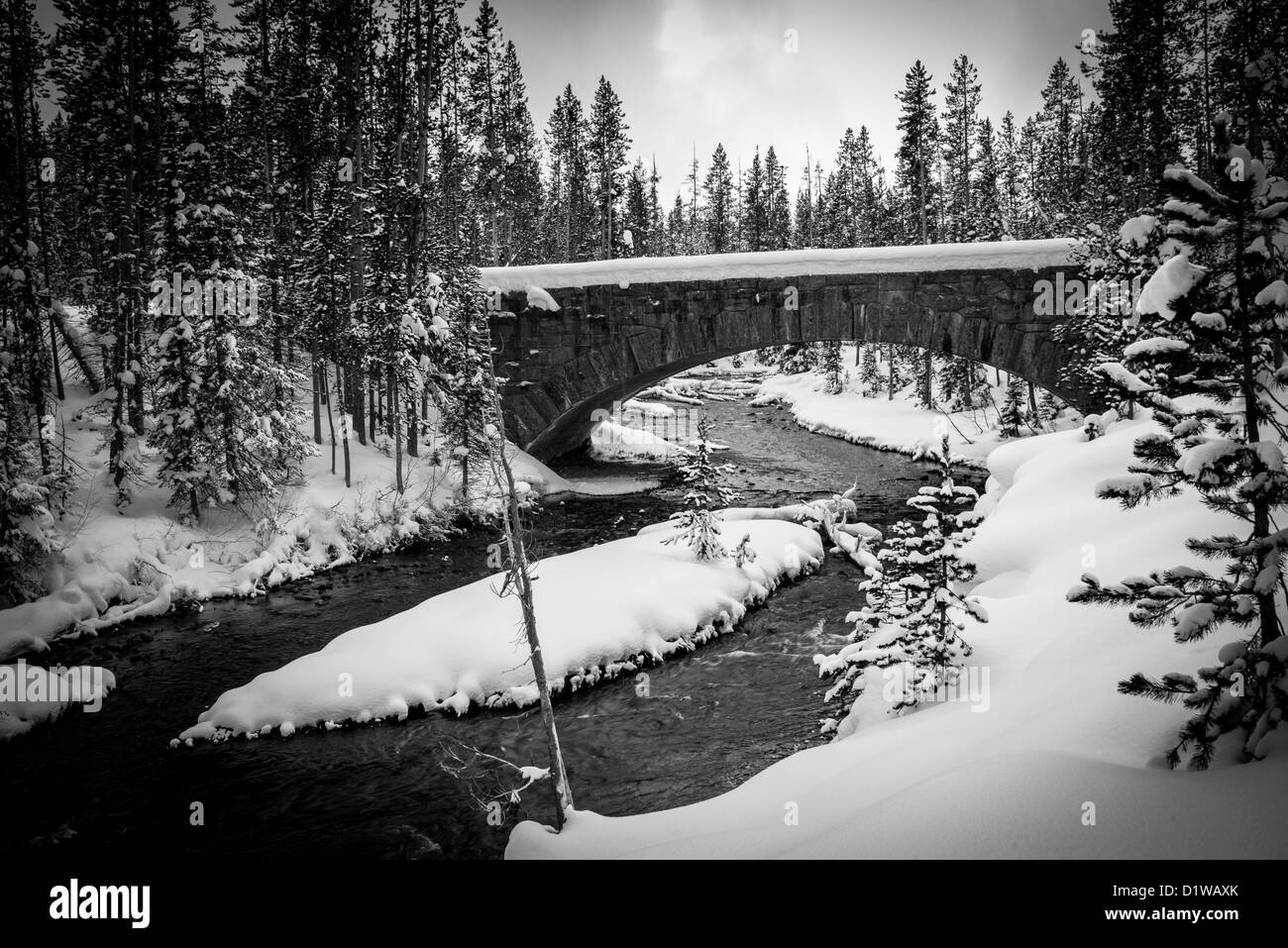 Rivière en hiver, le Parc National de Yellowstone Banque D'Images