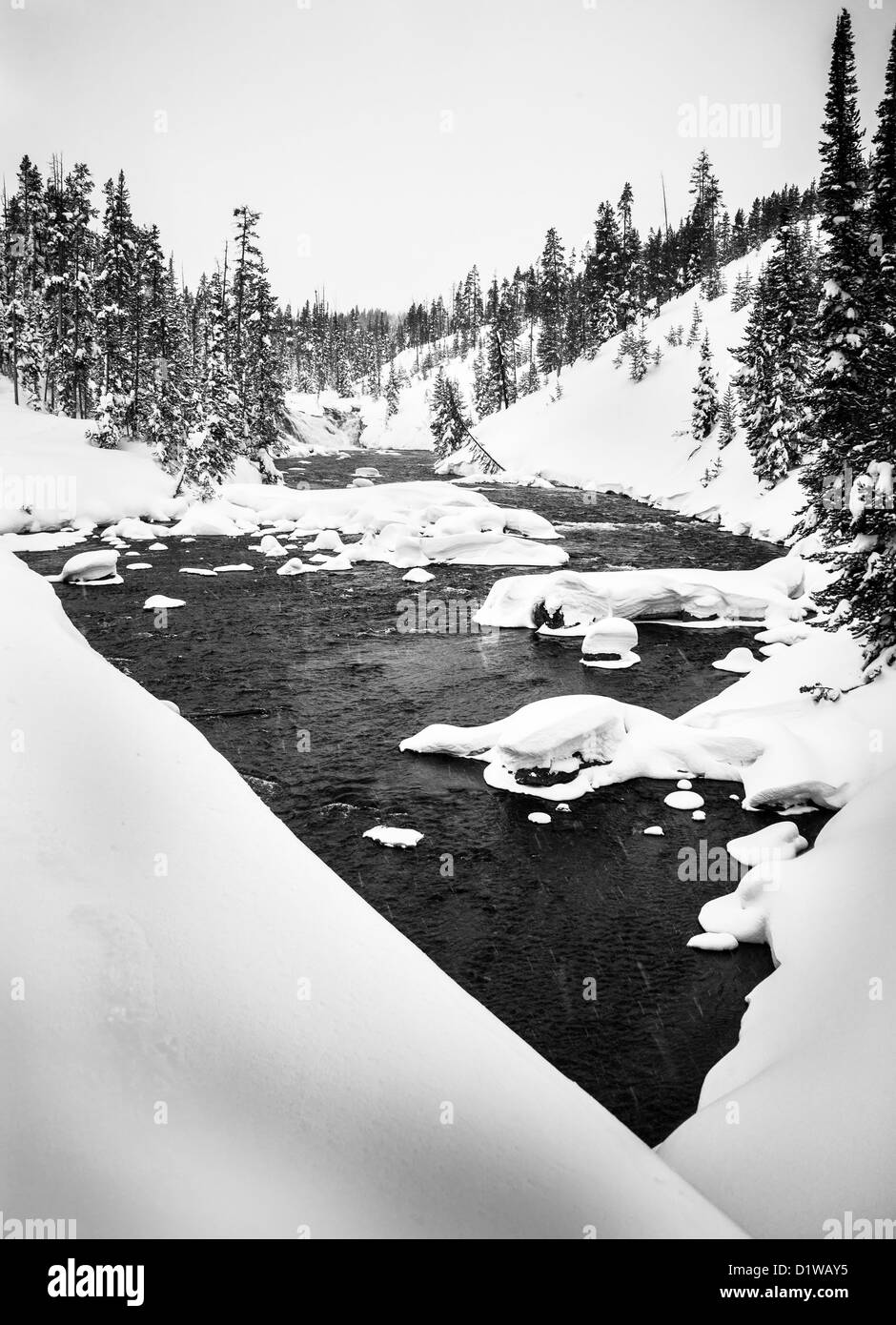 Rivière en hiver, le Parc National de Yellowstone Banque D'Images