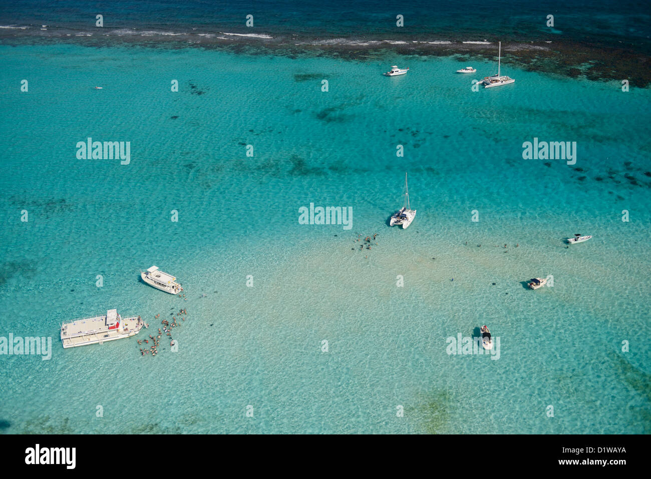 Stingray City, Grand Cayman, British West Indies, de l'air Banque D'Images