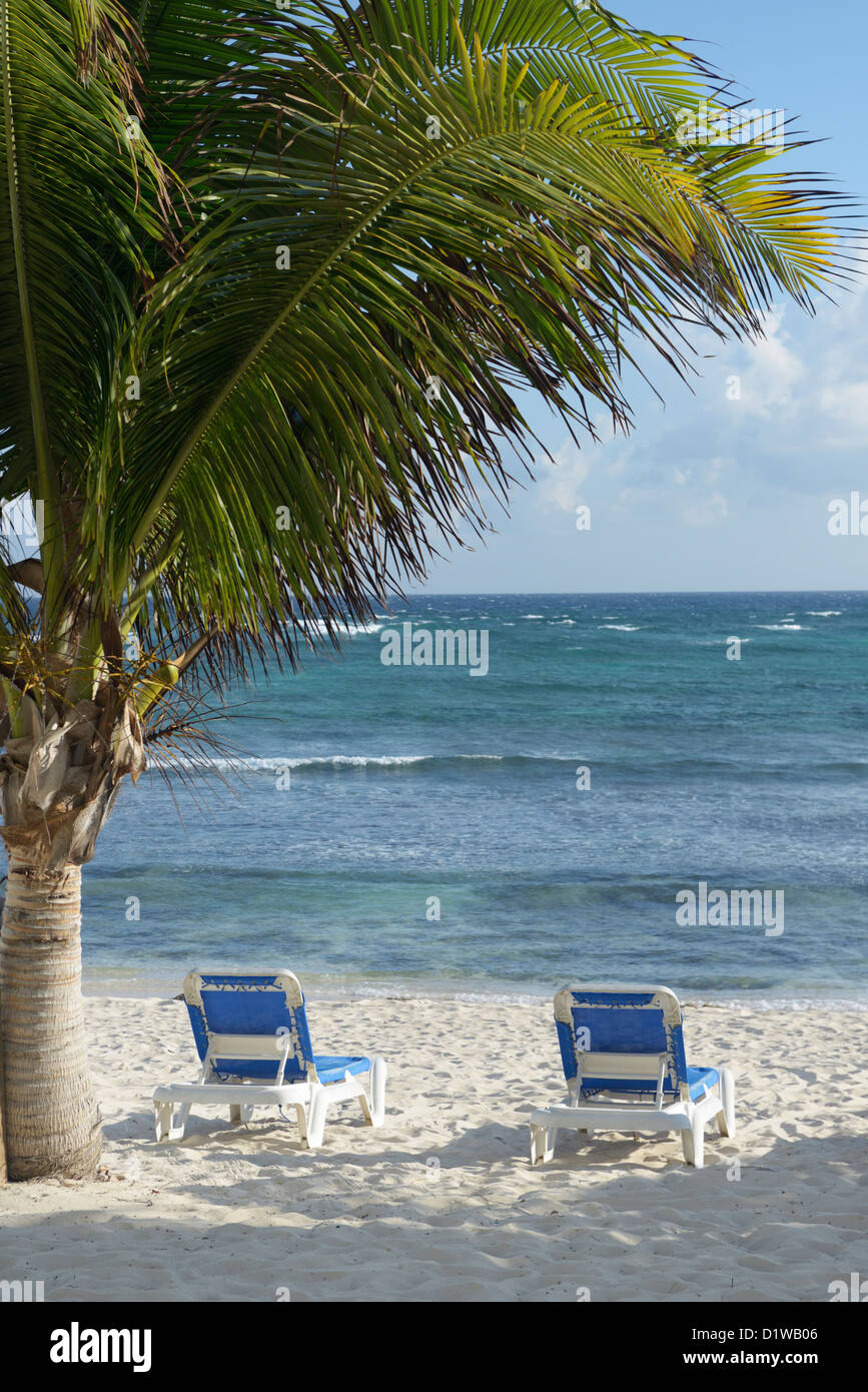 Chaises longues sur une plage des Caraïbes. Le Reef Resort, Grand Cayman, Antilles britanniques Banque D'Images