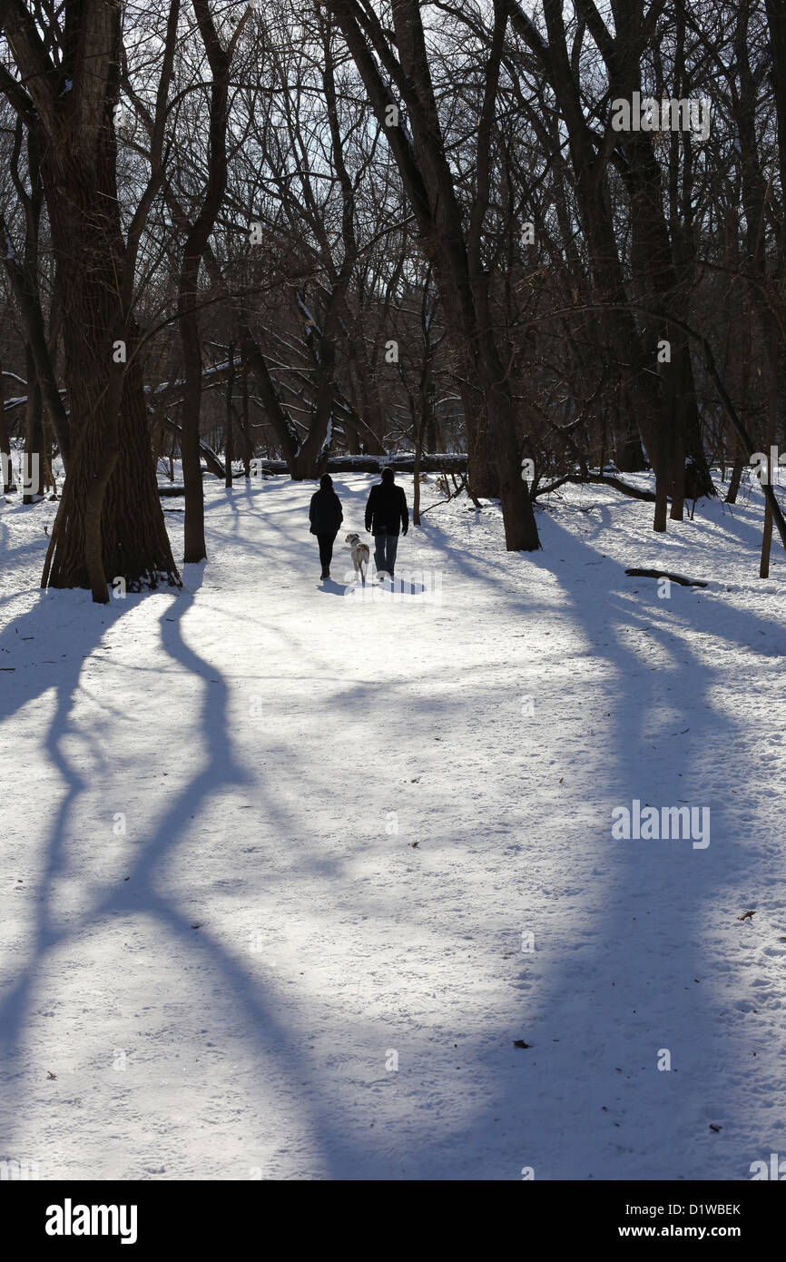 Deux personnes et un chien marcher dans une forêt enneigée vus de derrière. Banque D'Images